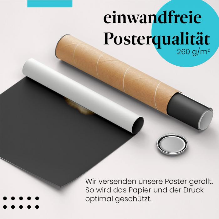 Gerolltes Poster "Sonnenfinsternis". Astronomie, sicher verpackt.