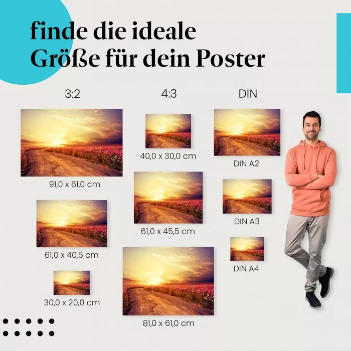 Kosmosblüten | Postereck 2626
