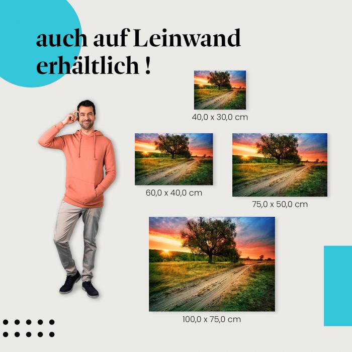 Landschaft, Leinwandbild: Feldweg, Sonnenuntergang, Baum.