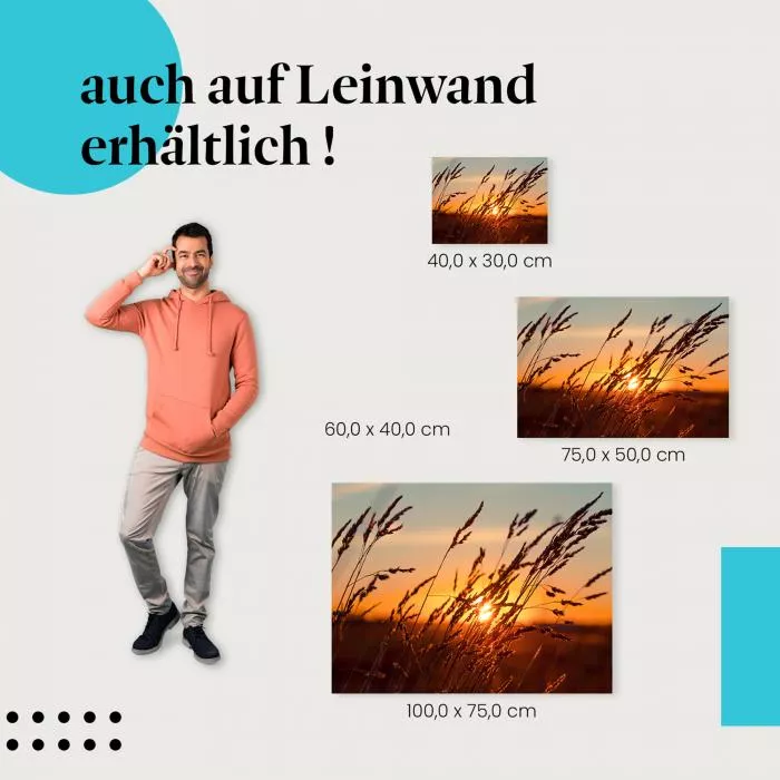 Sonnenuntergang im Gras | Postereck 4121