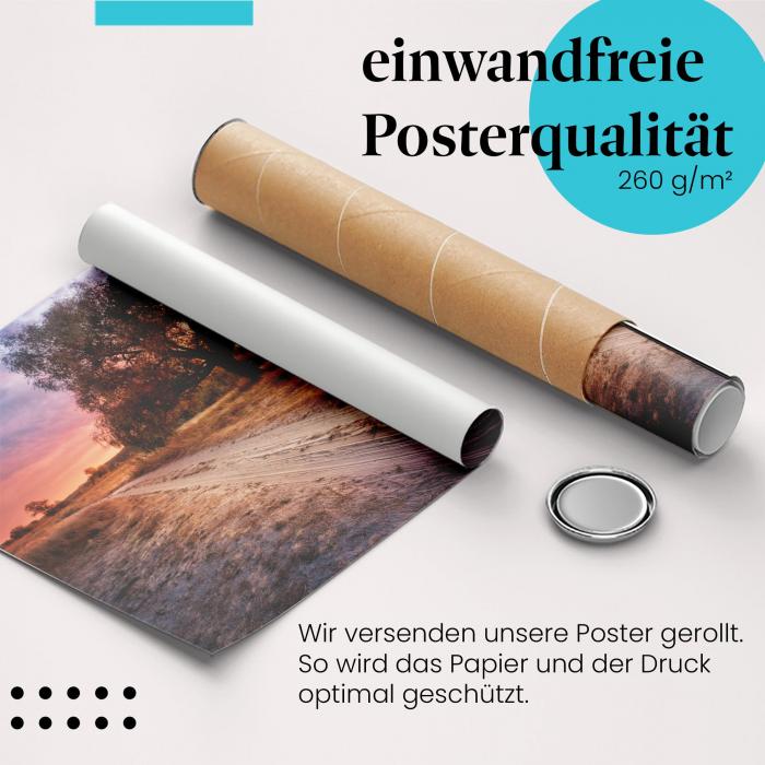 Preview: Herbstlicher Weg | Postereck 2943
