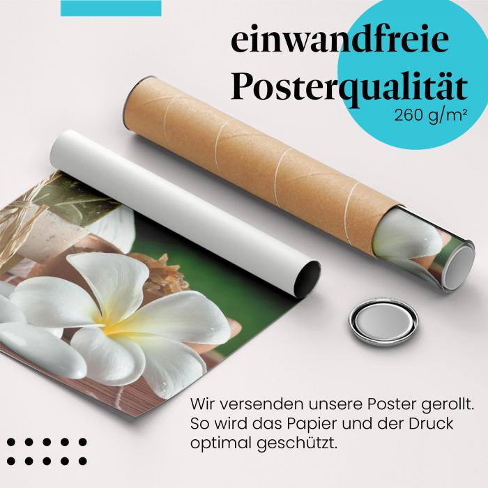 Preview: Tropisches Spa | Postereck 2986