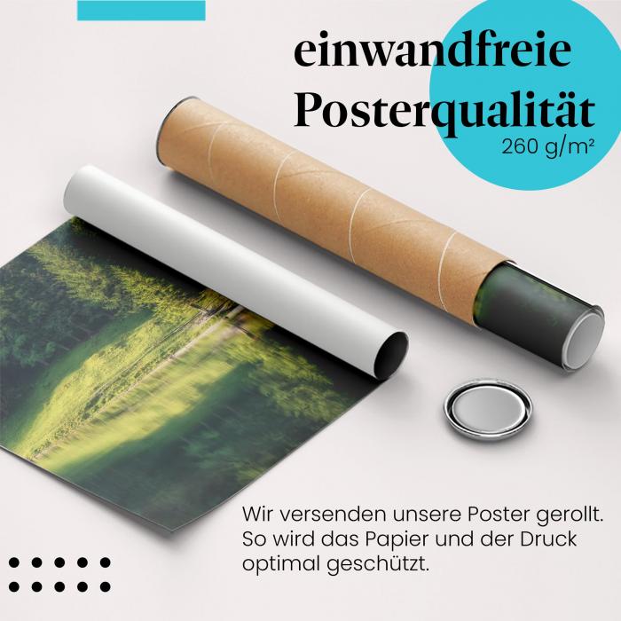 Gerolltes Poster "Baum am See" - Natur & Idylle, sicher verpackt.