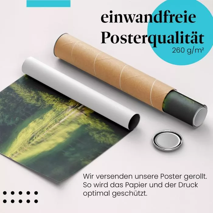 Baum am See | Postereck 3772