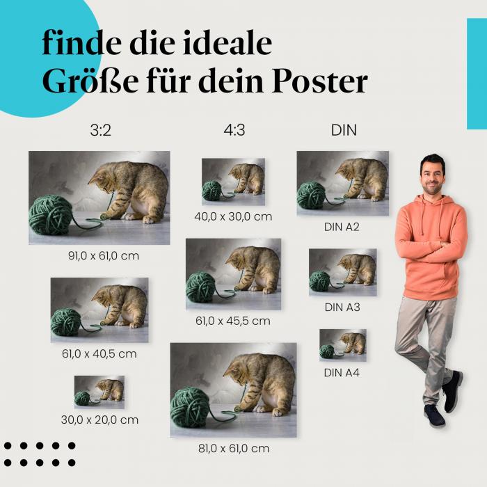 Kätzchen Poster: Niedliche Wanddeko - verschiedene Größen.