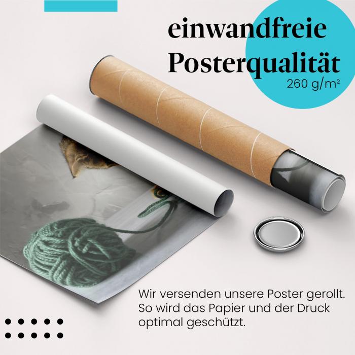"Kätzchen": Gerolltes Poster - verspielt, Wolle.