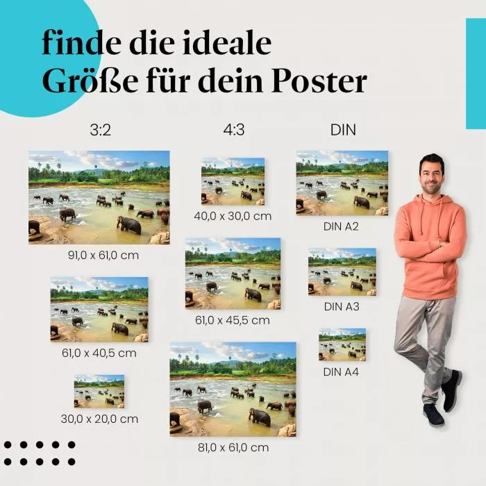 Elefanten am Fluss | Postereck 2741