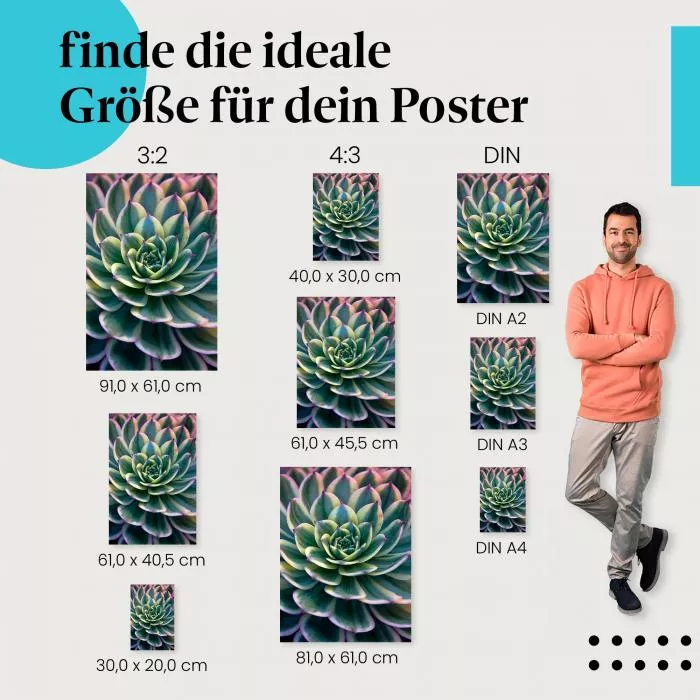 Sukkulenten Makro | Postereck 3041