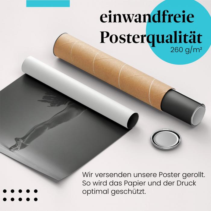 Preview: Balletttänzerin | Postereck 2519