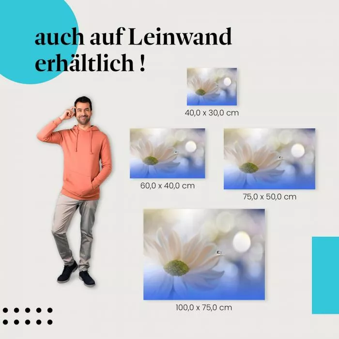 Tautropfen | Postereck 3835