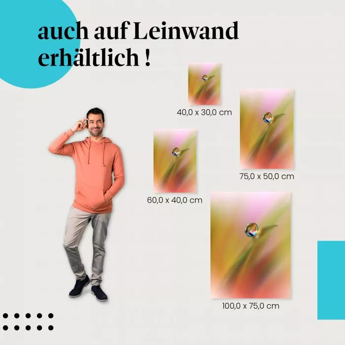 Tautropfen | Postereck 3637