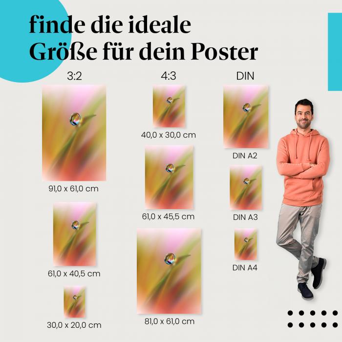 Tautropfen, Poster: Sonnenaufgang, Farbenspiel.