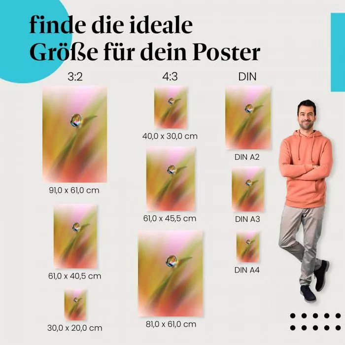 Tautropfen | Postereck 3637