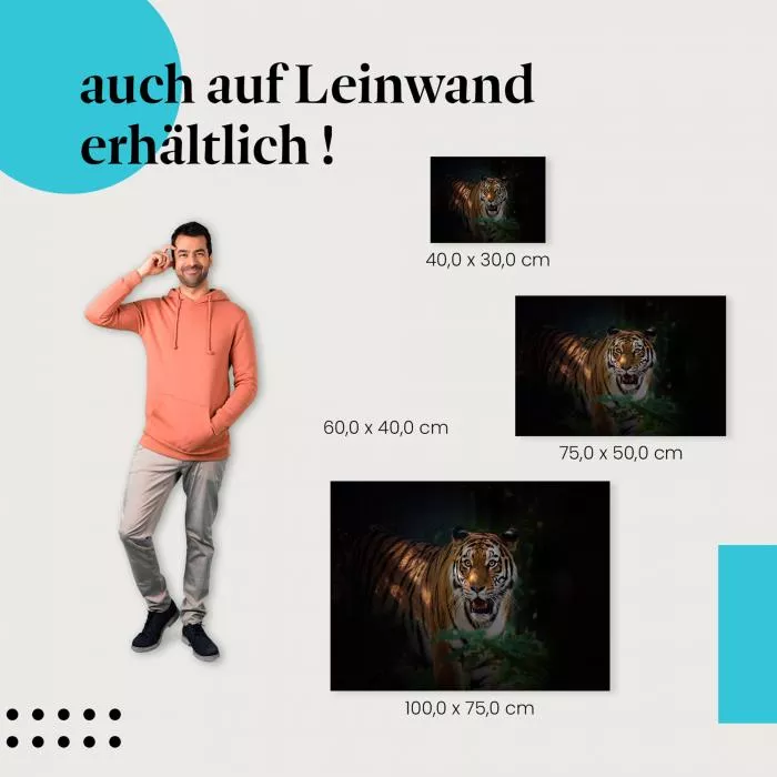 Tiger im Dunkeln | Postereck 4096