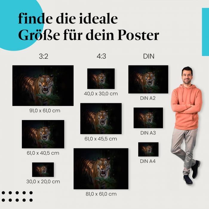 Entdecke Postergrößen für dein Zuhause: Tiger, Dunkelheit, leuchtende Augen.