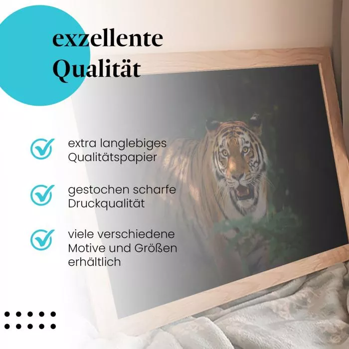 Tiger im Dunkeln | Postereck 4096