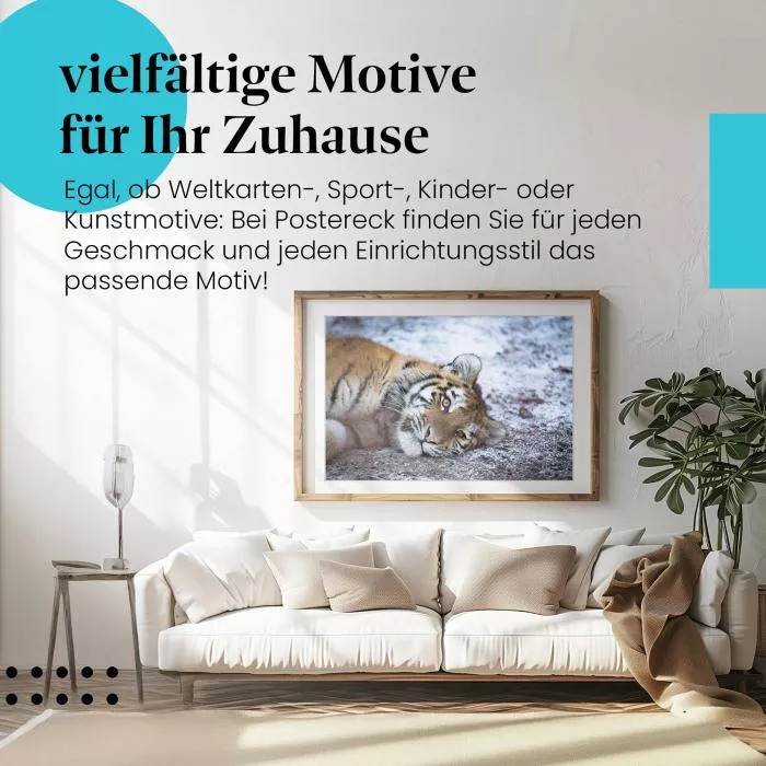 Tigerjunges im Schnee | Postereck 1542