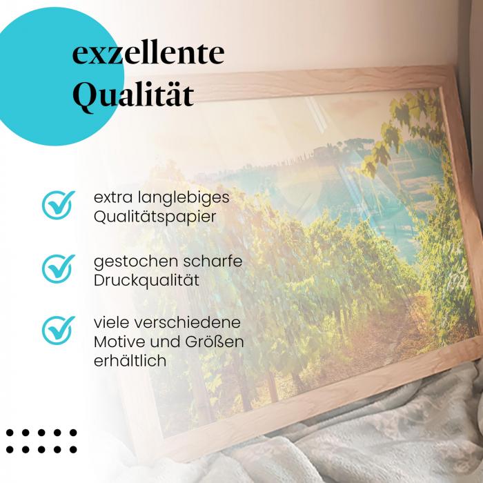 Preview: Toskana: Weinbergidylle | Postereck 1312