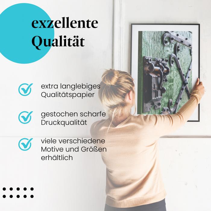 Preview: Antike Holztür | Postereck 3658