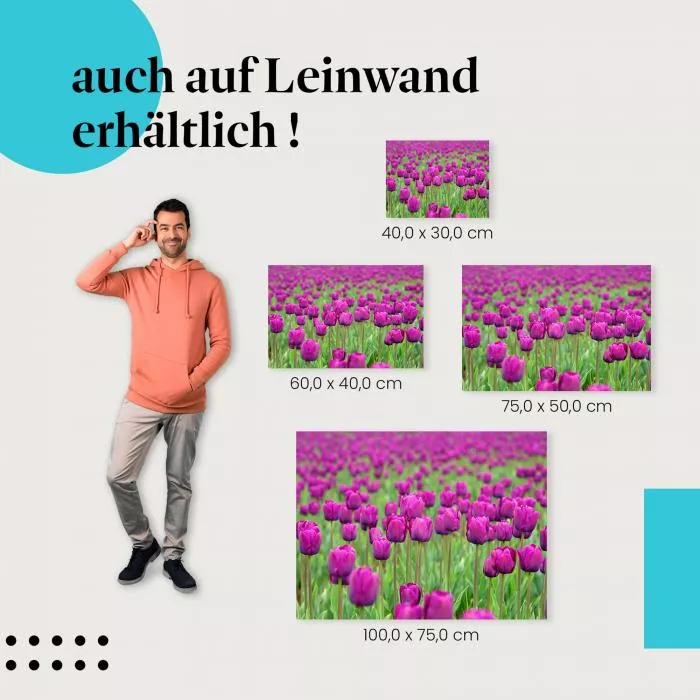 Tulpenmeer | Postereck 0958
