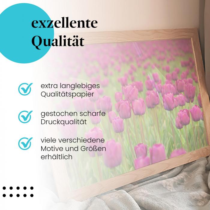 Preview: Tulpenmeer | Postereck 0958