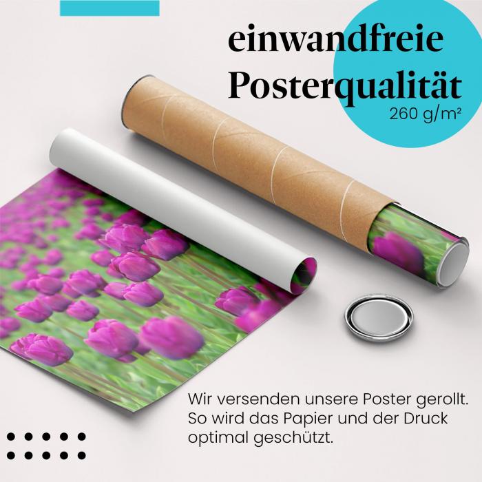 Preview: Tulpenmeer | Postereck 0958