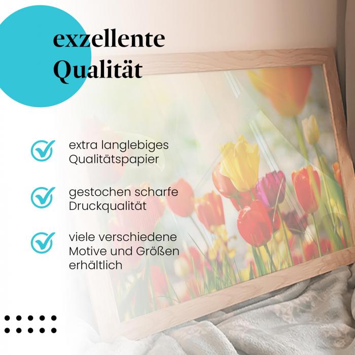 Gerahmtes Wandbild "Bunte Tulpen". Hochwertiger Druck, langlebig. Verschiedene Motive und Größen.