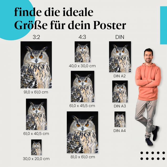 Entdecke die passende Postergröße: Uhu-Porträt, eindringlicher Blick.