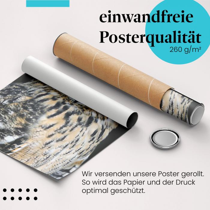 Gerolltes Poster "Uhu" - Mächtiger Greifvogel, sicher verpackt.