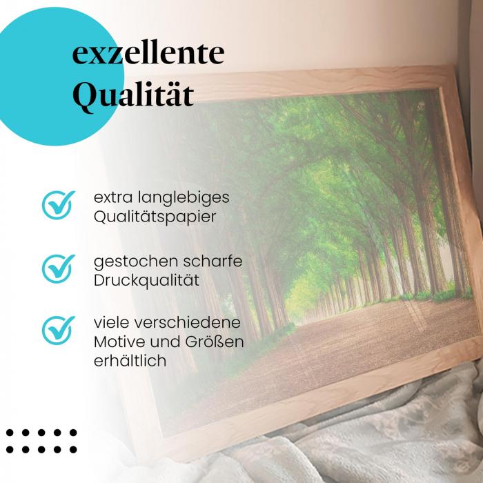 Preview: Mystischer Waldweg | Postereck 2341