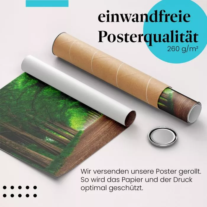 Mystischer Waldweg | Postereck 2341