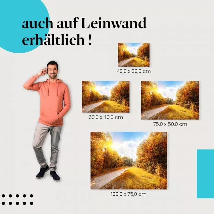 Herbstwald | Postereck 2674