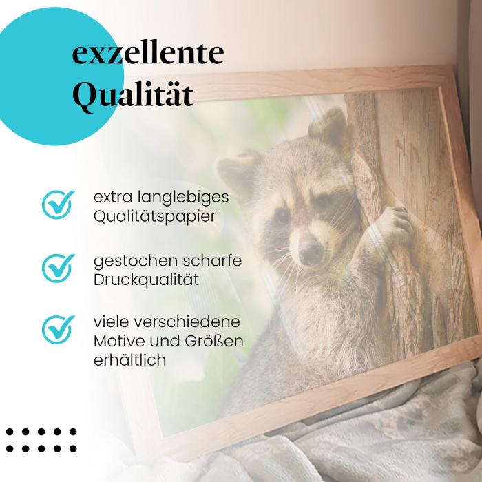 Gerahmtes Bild "Waschbär". Niedliches Tiermotiv, verspielt & neugierig.