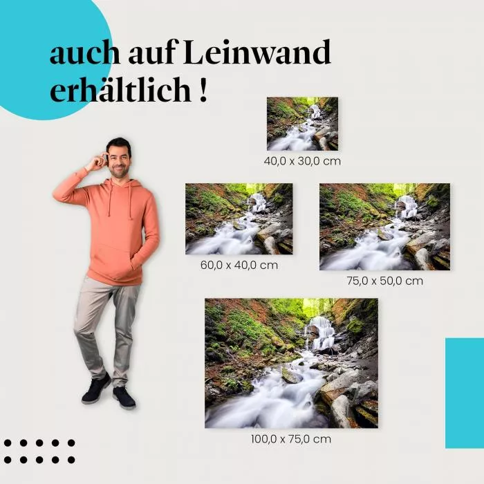 Waldwasserfall | Postereck 3048