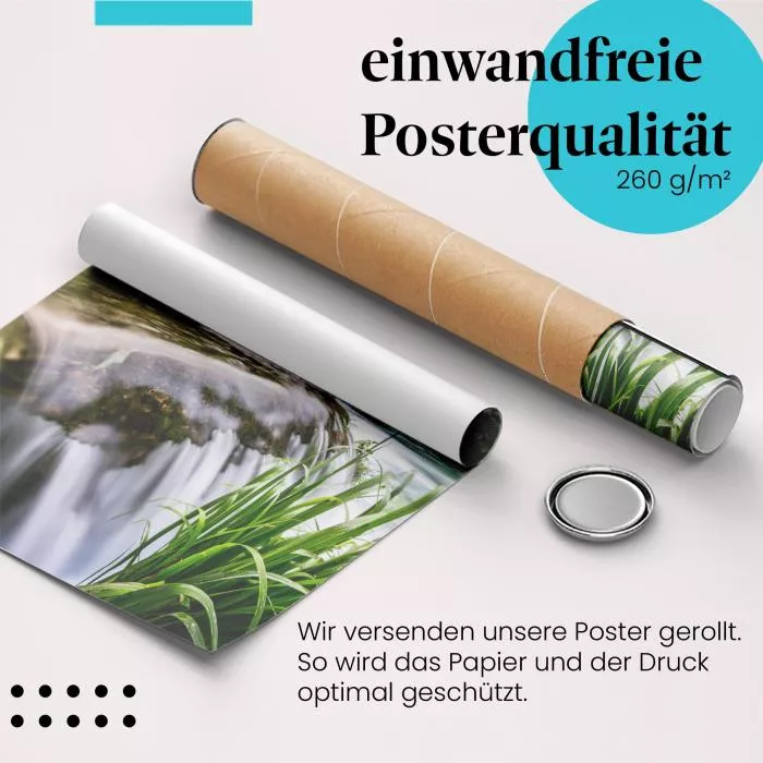 Waldwasserfall | Postereck 2555