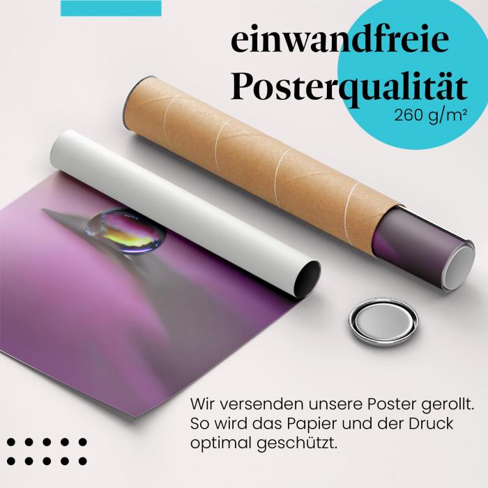 Gerolltes Poster "Wassertropfen" - Natur & Schönheit, sicher verpackt.