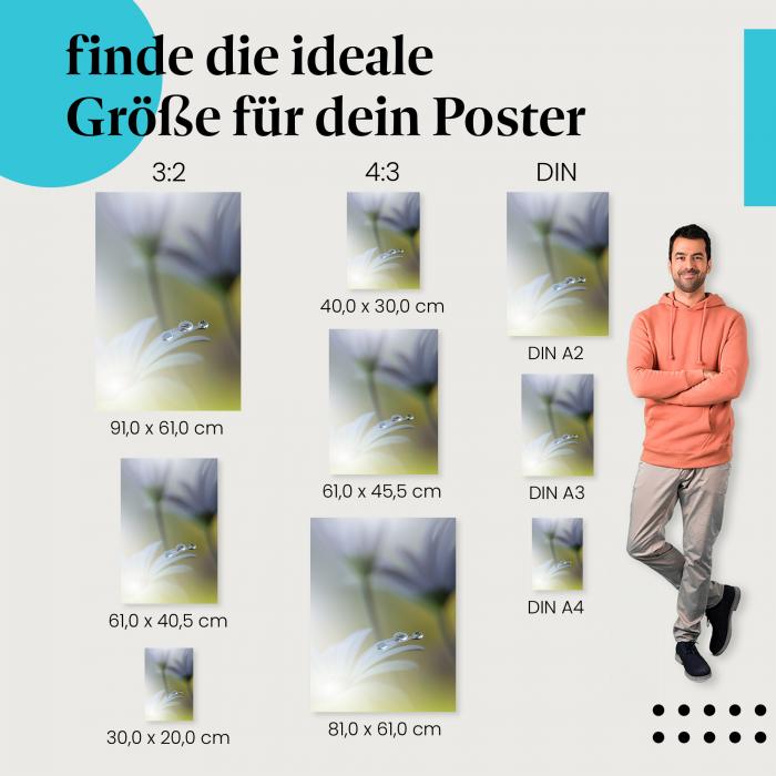 Wassertropfen, Poster: Blütenblatt, glitzernd.