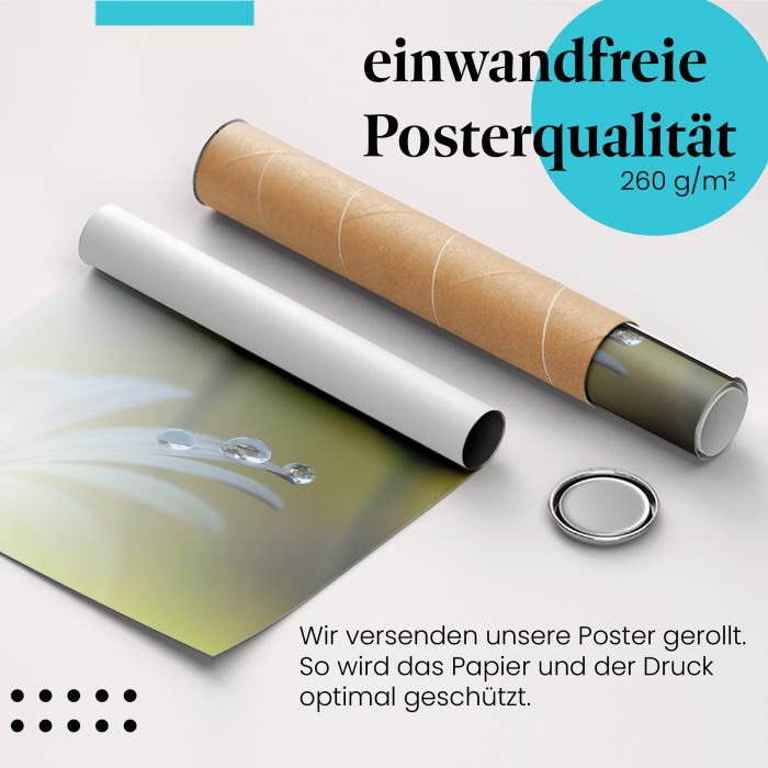 Gerolltes Poster "Wassertropfen" - Natur & Schönheit, sicher verpackt.