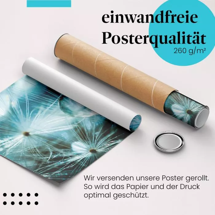 Tautropfen | Postereck 3393