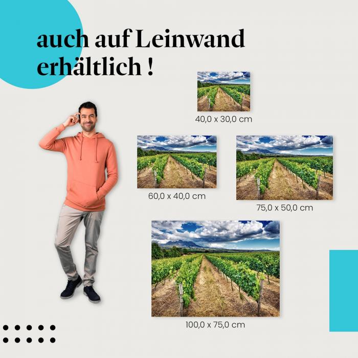 Leinwandbild "Rebenmeer unterm Wolkenhimmel": Landschaft & Natur