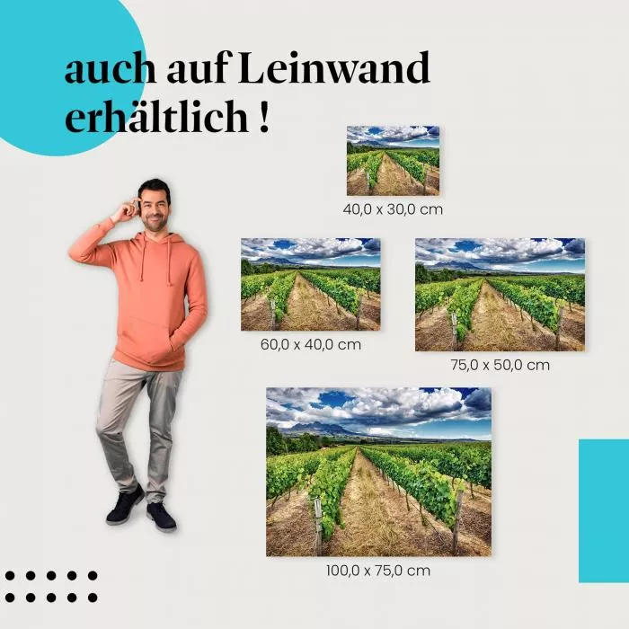 Rebenmeer: Wolkenhimmel | Postereck 1557