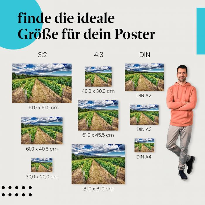 "Rebenmeer unterm Wolkenhimmel" - Poster mit Weinberg & dramatischem Himmel