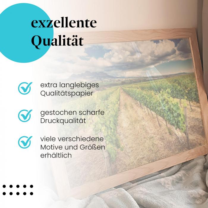 Gerahmtes Wandbild: Rebenmeer unterm Wolkenhimmel.