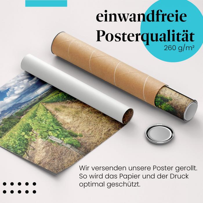 Gerolltes Poster "Rebenmeer", Wolkenhimmel.