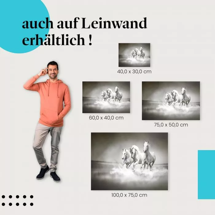  Weiße Pferde: Freiheit & Eleganz | Postereck 0426