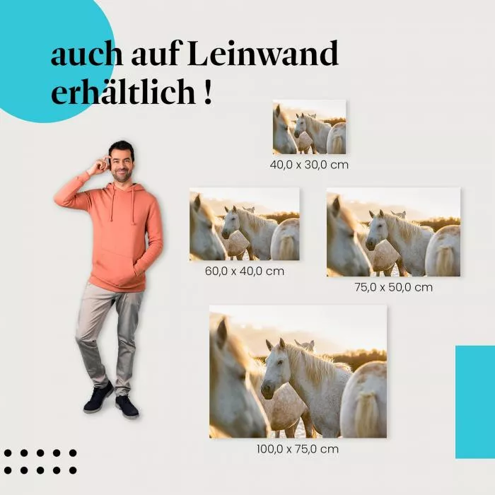 Pferde am Ufer | Postereck 3512