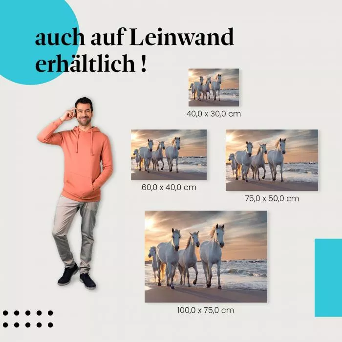 Pferde am Strand | Postereck 3510