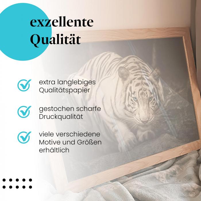 Gerahmtes Bild "Weißer Tiger" - Kraftvolle Fotografie, seltene Schönheit.