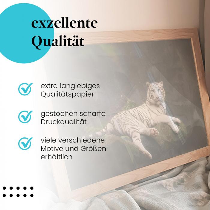 Preview: Ruhende Raubkatze | Postereck 2493