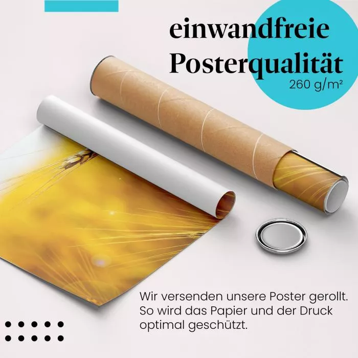 Goldene Stunde | Postereck 3931